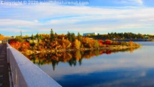 A photo of the new bridge across Glenmore Dam, Calgary, a mindfulness bridge we cross.