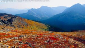 An image high up on a mountain top to inspire people to gather their inner strength, motivation, and the mountain within themselves.