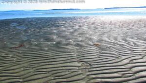 Rathtrevor Beach, Parskville, BC, Canada, with ripples in the sand like the vibrations we emit.