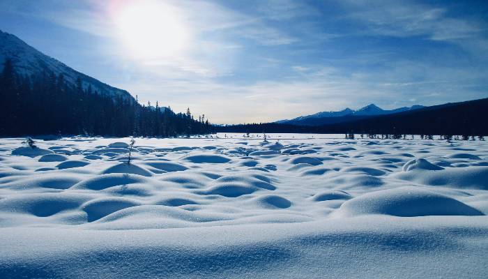 A winter scene to help the reader develop a mindful nature.