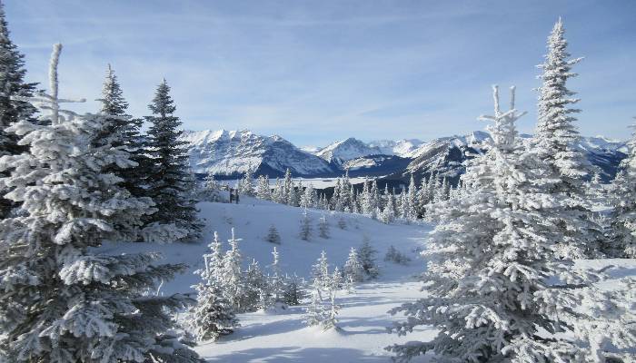 A winter photo at Kananaskis Fire Lookout with frosty, snow-covered trees creating a feeling of inner peace.