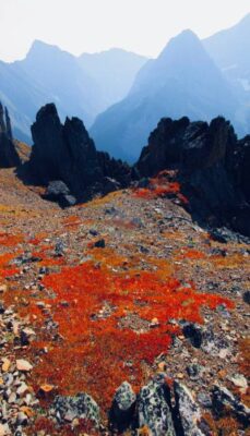 Remembrance Day image of Mt. Allen/Centennial Trail in Kananaskis with some red colouring on the ground that resembles poppies, or blood of soldiers, and a hazy sky like the aftermath of war. We can find our own inner soldier and inner strength.