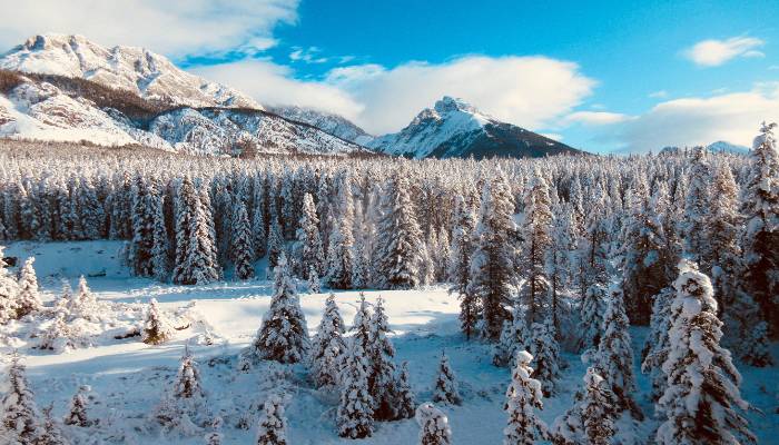 A photo of a winter mountain scene in Kananaskis, AB, Canada, that reminds you that giving and receiving starts with self-care activities like being in nature.