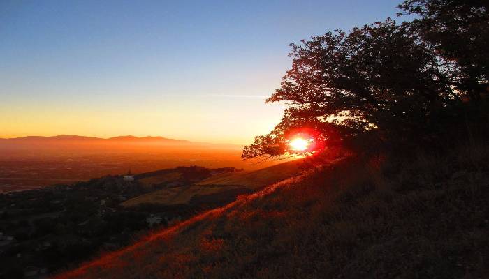 A photo at sunset in Salt Lake City, Utah up on a hillside. Image creates a feeling of mindfulness and taking in nature is good for your wellbeing.