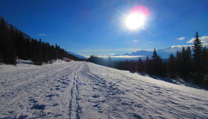 A photo of a sunny day cross-country skiing in Kananaskis, AB, Canada with the snow glistening, sun shining, and a long open road of solitude. In solitude we connect better with the earth, the ether, ourselves, and others.