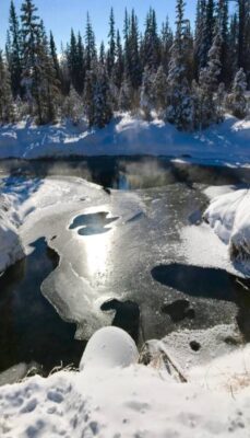 A photo of -24C in Calgary, AB, Canada with some frozen water and some open water, trees, and snow. When our heart chakras are blocked, we get ice around the heart, and we must learn to melt the ice and open our hearts.