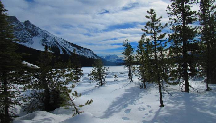 A photo of Spring skiing on Emerald Lake, BC, Canada - A great place to practice mindfulness meditation out in nature.