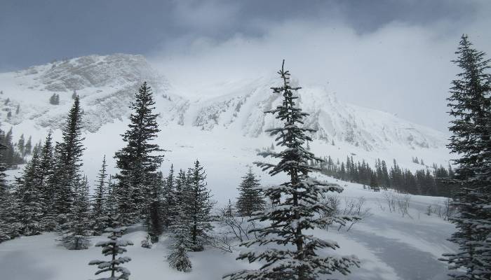 A photo of a snowy scene with unstable weather conditions at Headwall Creek, Kananaskis, Alberta, Canada. We have mood swings just like the weather patterns change.