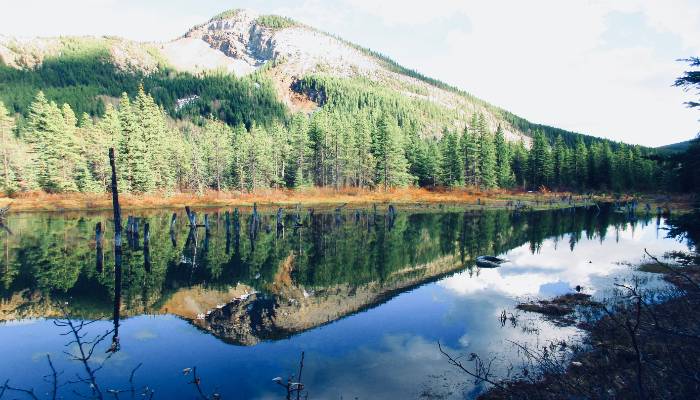 A photo of a pond in Bragg Creek, Alberta, Canada that is perfectly still and reflecting back the trees and mountain in the background. You can raise your vibration by matching the frequency of what you desire, and it will be reflected back to you.