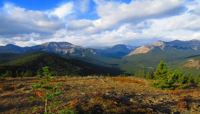 A photo of Mt. Hoffman in Sheep River, Alberta, Canada, a very windy summit that allows us to feel the healing power of nature on our face.