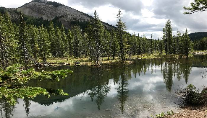 A photo of some still, calm waters in a pond in Bragg Creek, Alberta, Canada. Nature gives us ways to calm anxiety and let go of pandemic stress.