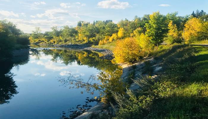 A photo of changing leaves in the early Autumn in Calgary, Alberta, Canada. We can learn to respond instead of reacting by keeping our cool and changing with the seasons as the world changes too.