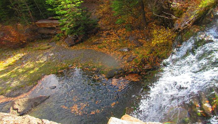 A photo of Dyson Falls, Sheep River, Alberta, Canada and falling leaves that show us how letting go or resentment is easier by spending time in nature.