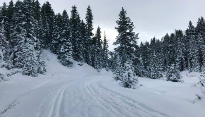 A photo of Elk Pass & Blueberry Hill skiing - a reminder that we can endure the cold and snow and find the beauty in it and how to face challenges becomes evident.