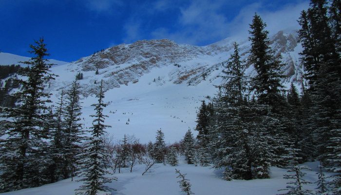 A snowy, mountain photo at Headwall Creek in Kananaskis where the sky turned sunny and blue for a moment after a snowstorm. We can learn from nature how to build patience, faith, and trust that things will work out for us.