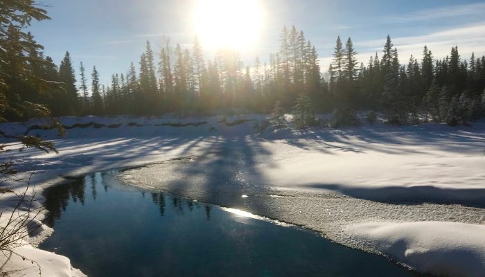 A photo of a winter scene in a park in Calgary, Alberta, Canada with snow over a pond of water, some open water, and sunshine through the trees. A great place for some grounding techniques.