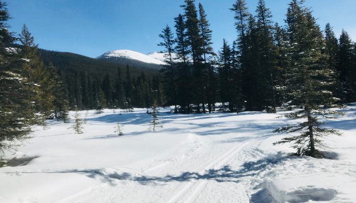 A photo of a cross-country ski trail near Lake Louise, Alberta, Canada. A big wide open space, which we sometimes need when learning types of boundaries and secrets to protecting personal space.