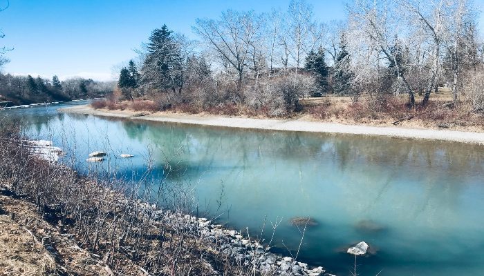 A photo of the Elbow River at Stanley Park, Calgary, Alberta, Canada with deep heart chakra green colour that reminds us to open our hearts and end attachment and addiction so you're not stuck.