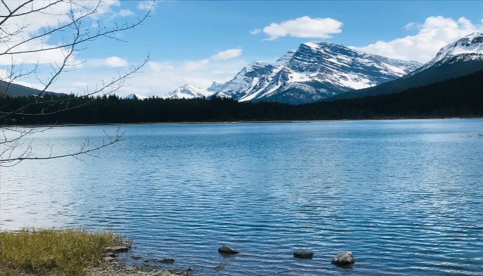 A photo of Waterfowl Lake, Icefields Parkway, Alberta, Canada with a big open lake like creating space in your heart for more love and light.