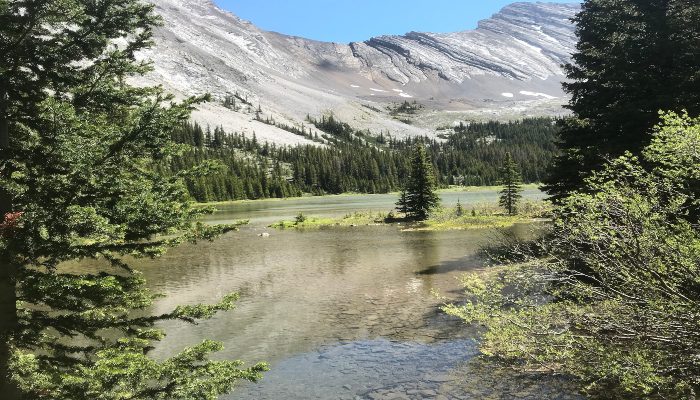 A photo of Picklejar Lakes, a natural area where taking things for granted does not happen as we engage our senses being present and grateful.