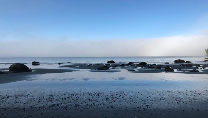 A photo of a foggy morning at China Beach, Juan de Fuca Marine Trail, Vancouver Island, BC where letting go of past preferences clears the fog in our minds and frees our soul.