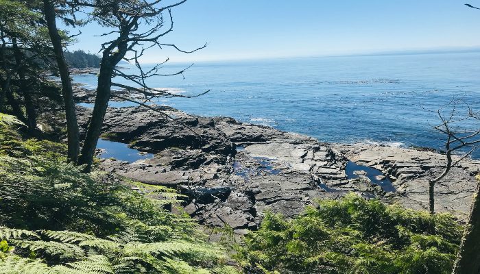 A photo of a section of hiking trail along the Juan de Fuca Marine Trail, Vancouver Island, BC, Canada, a trail where dealing with fear and anxiety if part of the planning and also where you can feel free if you let go of these.