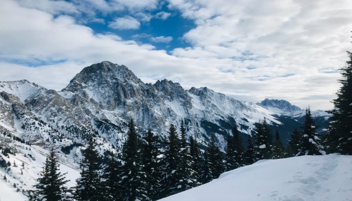 A photo of King Creek Ridge, Kananaskis, Alberta, Canada, a wide open spot in nature for holding space for yourself.