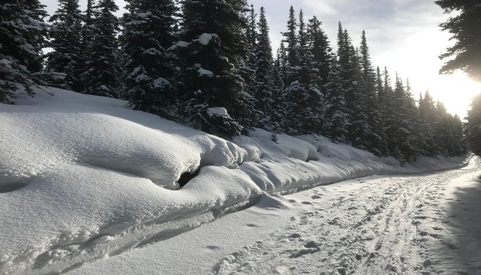 A photo of a snowy mountain at Kananaskis Fire Lookout with deep snow on a ski trail leading to the summit where you can stop negative self talk and mind clutter easily.