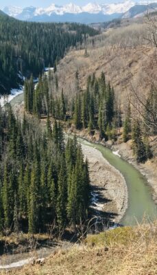 Spring in Sheep River, Alberta