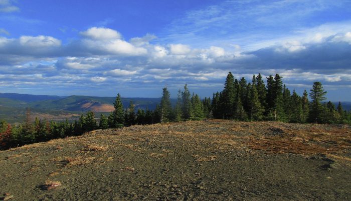 A photo on top of Mount Hoffman, Sheep River, Alberta, a great platform for ecstatic dance and its healing benefits in nature.